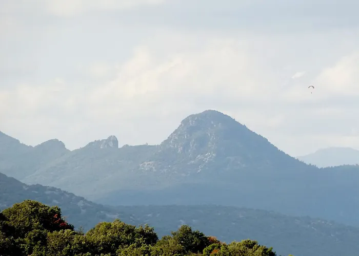 بيت ضيافة Cadierecevenne *